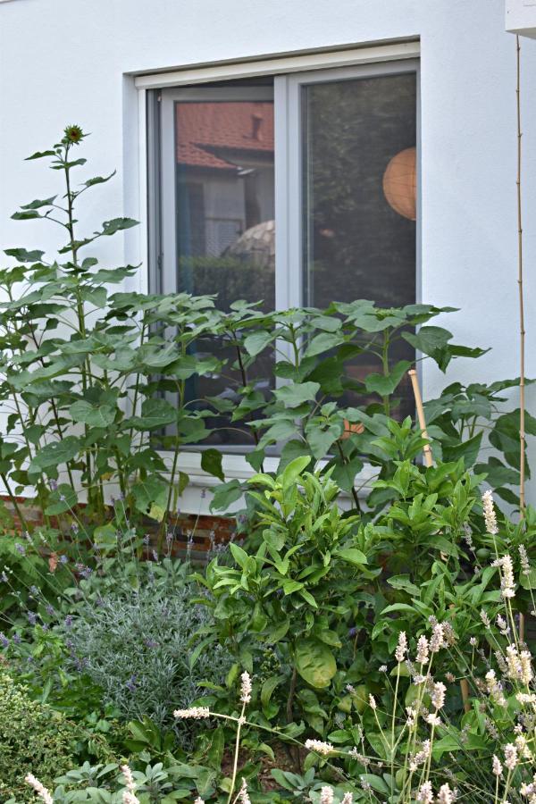 Ferienwohnung Postaja 33 Zgornje Skofije Exterior foto